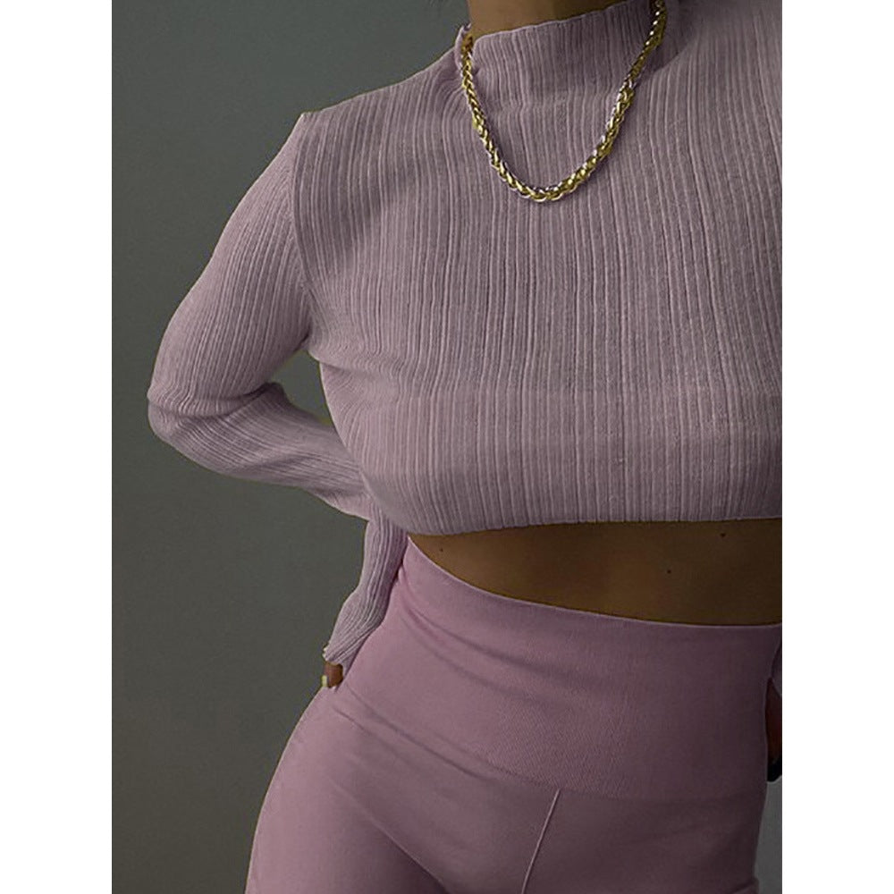 Women's Spring Clothing Long Sleeve Mesh See-through T-shirt Women's Solid Color Turtleneck Slim Top